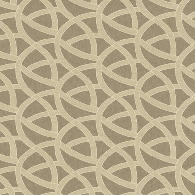 Kasmir MAGIC TRICK      SMOKE           